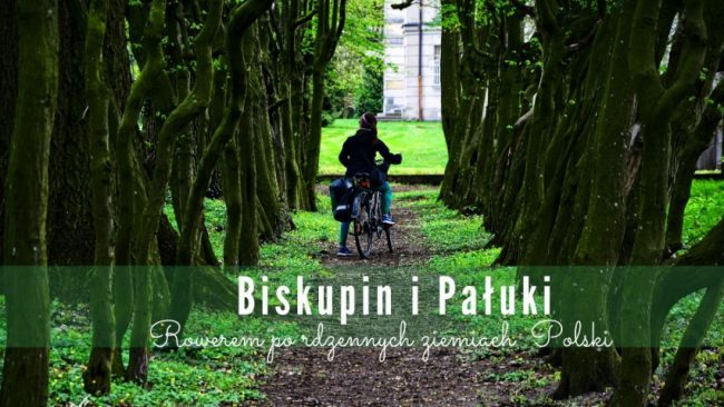 paluki-biskupin-rowerem paluki biskupin rowerem ziemia palucka rowerem co zobaczyc w okolicach gniezna i biskupina