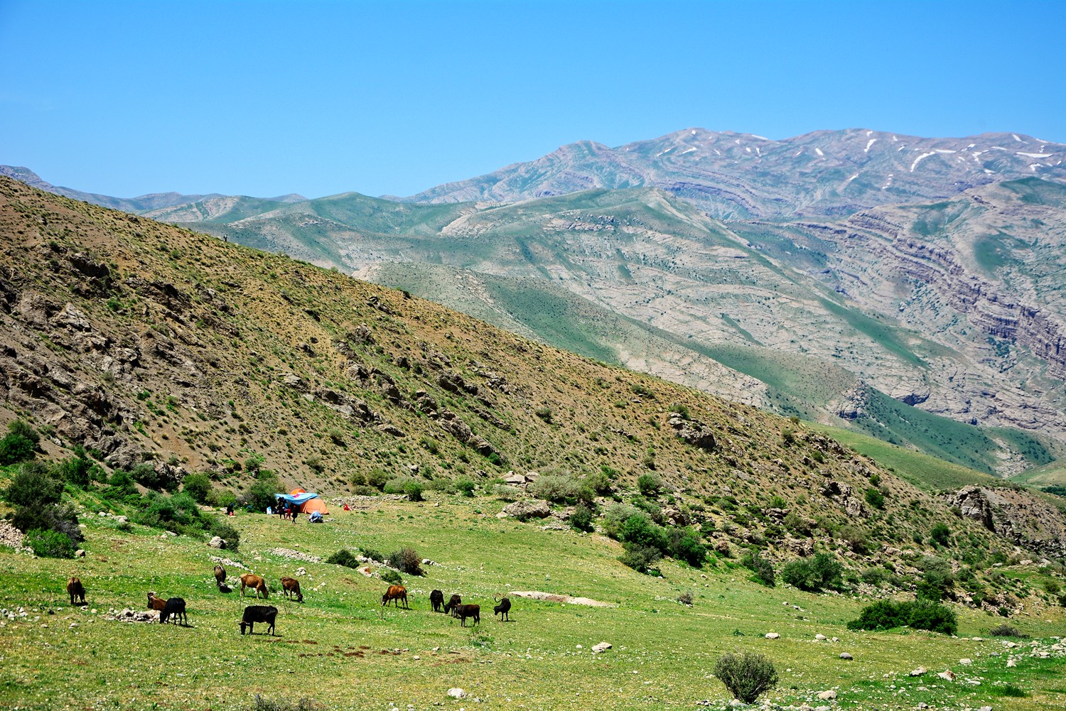 lorestan copy