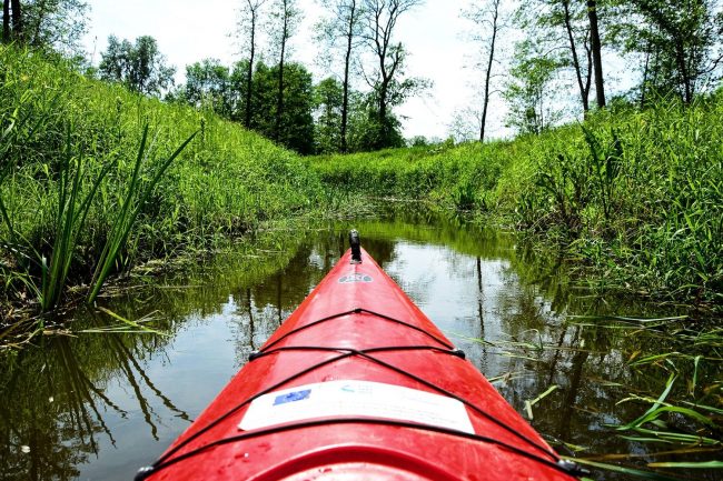 na kajak w okolicy Warszawy wieprz kajakiem