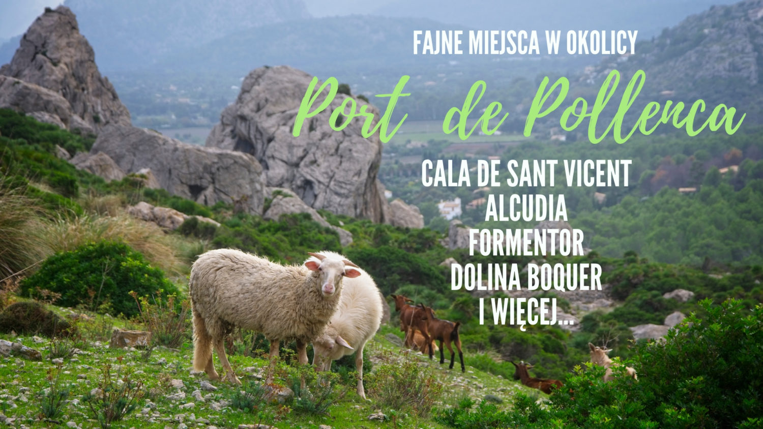 co robić w port de pollenca puerto de pollenca fajne miejsca w okolicy