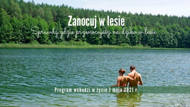 spanie na dziko w lesie lasy panstwowe zasady regulamin zgłoszenie
