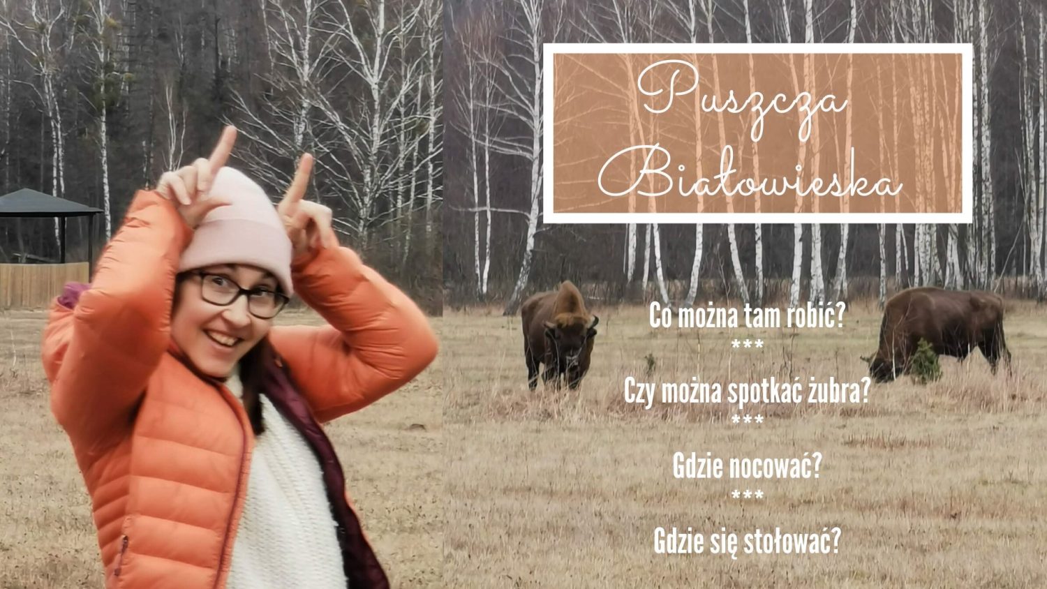 co robic w bialowiezy puszcza bialowieska atrakcje turystyczne szlaki piesze w bialowiezy