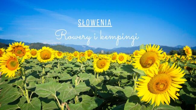 slowenia kempingi rowery roadtrip